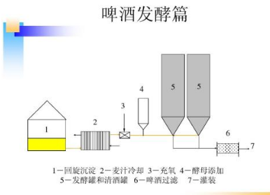 CO2崫ڷ͹жԶ̼Ũȵļ